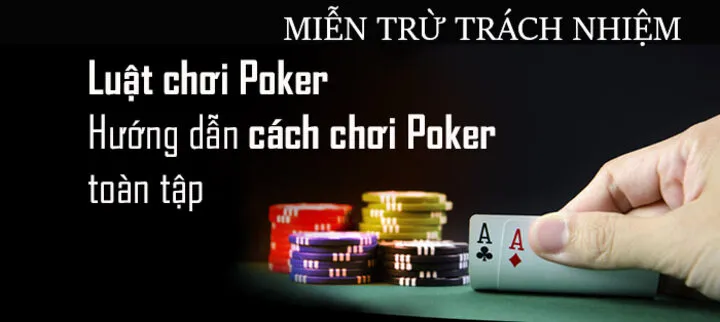 Quy định cụ thể về các bên tại Miễn trừ trách nhiệm